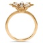 The Parisa Ring, smallside view