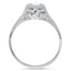 The Dorset Ring, smallside view