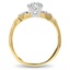 The Derwent Ring, smallside view