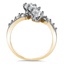 The Nouveau Ring, smallside view