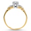 The Asbury Ring, smallside view