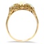 The Ryann Ring, smallside view
