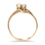 The Delcina Ring, smallside view