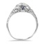The Anica Ring, smallside view