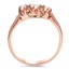 The Idonia Ring, smallside view