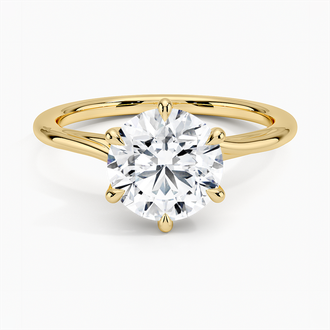 Delilah Twist Solitaire Ring - Brilliant Earth