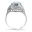 The Wanetta Ring, smallside view