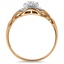 The Verna Ring, smallside view