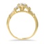 The Corenda Ring, smallside view