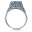 The Rayne Ring, smallside view