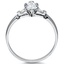 The Drexel Ring, smallside view