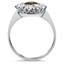 The Mellona Ring, smallside view