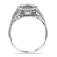 The Starks Ring, smallside view