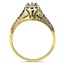 The Roma Ring, smallside view