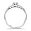 The Joice Ring, smallside view