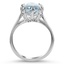 The Delacourt Ring, smallside view