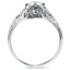 The Carmel Ring, smallside view