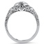 The Rockland Ring, smallside view