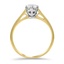 The Fiorenze Ring, smallside view