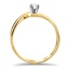 The Hilma Ring, smallside view