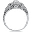 The Fonda Ring, smallside view