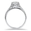 The Kathey Ring, smallside view