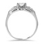 The Brannan Ring, smallside view