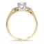 The Cabott Ring, smallside view