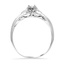 The Cleone Ring, smallside view