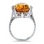 The Faris Ring, smallside view