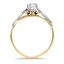 The Marieah Ring, smallside view