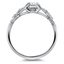 The Passerine Ring, smallside view