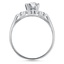 The Thayer Ring, smallside view