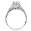 The Cynara Ring, smallside view