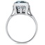 The Vista Ring, smallside view