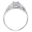 The Saleria Ring, smallside view