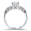 The Sharie Ring, smallside view