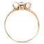 The Michele Ring, smallside view