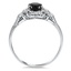 The Vevina Ring, smallside view