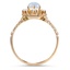 The Valentin Ring, smallside view