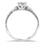 The Lezlie Ring, smallside view