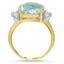 The Daytona Ring, smallside view