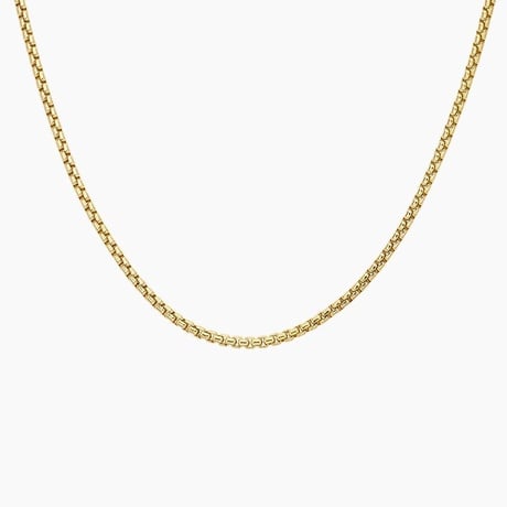 Riley Box Chain Necklace (2.7mm)
