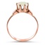 The Gilberte Ring, smallside view