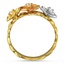 The Rosa Ring, smallside view