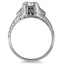 The Andromeda Ring, smallside view