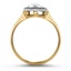 The Mica Ring, smallside view