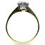 The Valentine Ring, smallside view