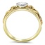 The Dryden Ring, smallside view