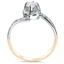 The Thalia Ring, smallside view